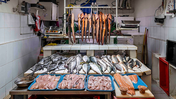 Fish Market