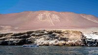 The Paracas Candelabra: a prehistoric geoglyph