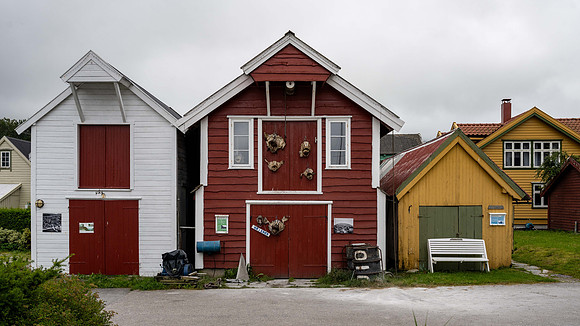 DSC_6542