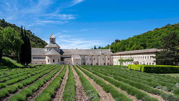 Sault-1: Abbaye Notre-Dame de Sénanque