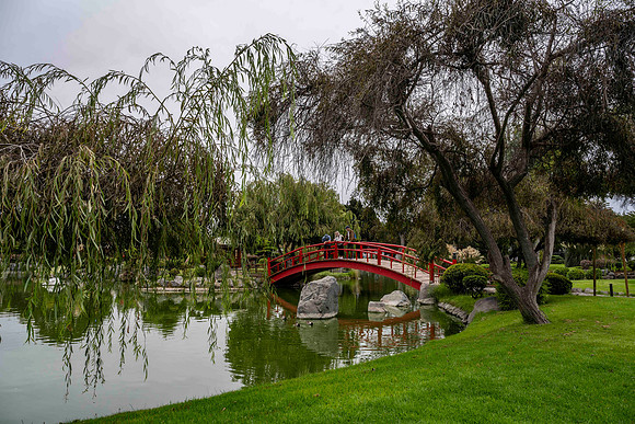 Japanese Garden