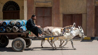 Egypt-8