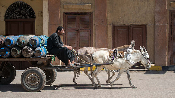 Egypt-8