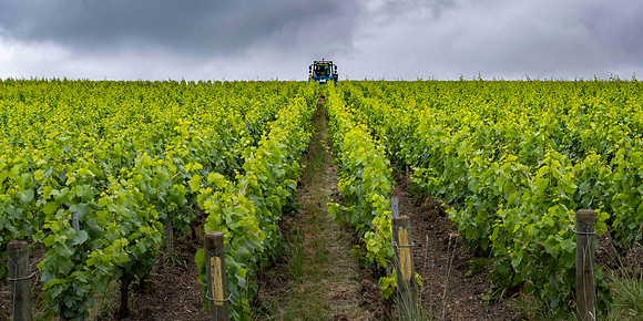 Epernay-1