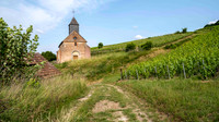 Epernay: Marne (Grande Est)