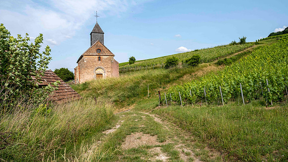 Epernay-2