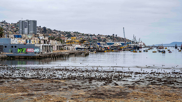 Coquimbo Bay and Port